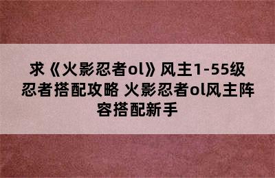 求《火影忍者ol》风主1-55级忍者搭配攻略 火影忍者ol风主阵容搭配新手